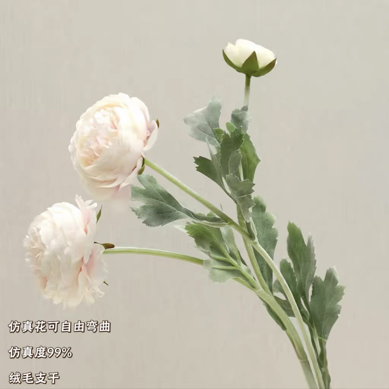 Lulian blanco lechoso