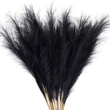 Y 13720 Pampas grass decoration ����˹װ�ο羳����ͨ��