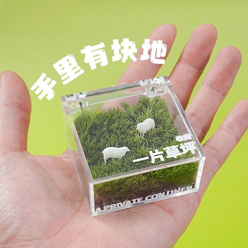 怠け者芝生コケ微景観デスクトップオフィス創意緑植置物diyプレゼント卒業シーズンプレゼント|undefined