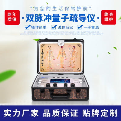 pulse Quantum Grooming Suitcase Biology Electrical pulse Hot massage Main and collateral channels Dredge