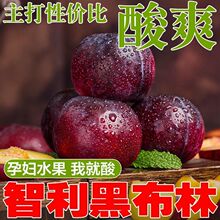 �����S��ڲ����������r������ˮ���錚���ЋDˮ��������Ó����