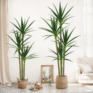 ����Ꭷֲ��m�辰���ͷ���ֲ��������҃���ؼپGֲ�����m