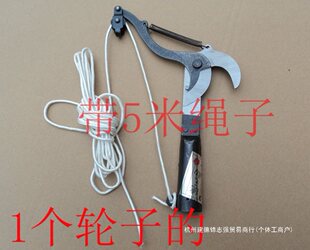 ��݆�߿ռ����^�߿ռ�֦���߿ռ�����5���K����֦����֦��