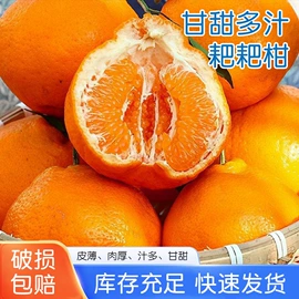 柑桔;牛肉零食;其他水果