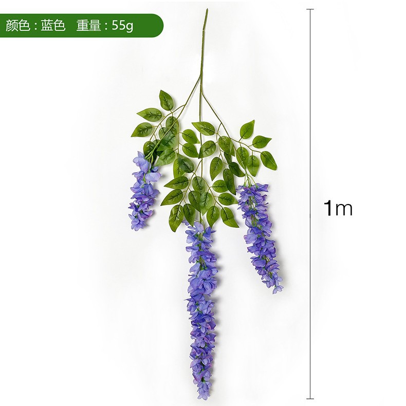 Color púrpura mejorado de tres puntas (Abel Wisteria)_1