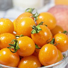 �S���}Ů�����r�SɫС���љ���С����Ƥ��С���t���ЋDˮ�����]