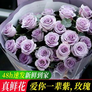 ����һ݅��õ������r������ֱ�l���ϻ����Ј����ò廨���滨ˮ�B