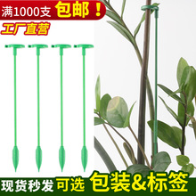 植物支撑杆花卉防倒伏植物固定花架绿植盆栽爬藤支架花苗支撑杆