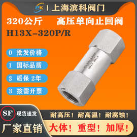 H13X-320P高压单向止回阀逆止阀304不锈钢内丝扣螺纹气体320P4分