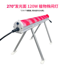 canopyֲ���a������߻����~�˘������L��120�߼t����ܹ��V����