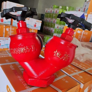 Type 2 Double Valve Double Outlet Pressure Reducing and Stabilizing Type Indoor Fire Hydrant Snssw65-Ii