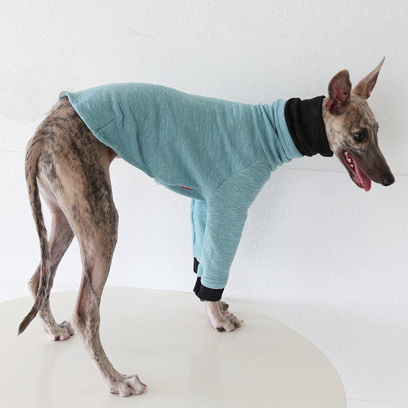 Petstyle 双色袖领打底衫 意大利小灵缇惠比特宠物衣服跨境亚马逊|undefined