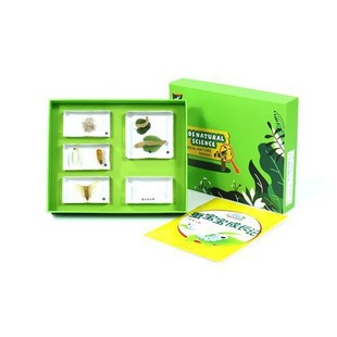 �Q�������Lӛ����ֲ��˱��l�F��̽���ҌWǰ�������ǰ�������˱�