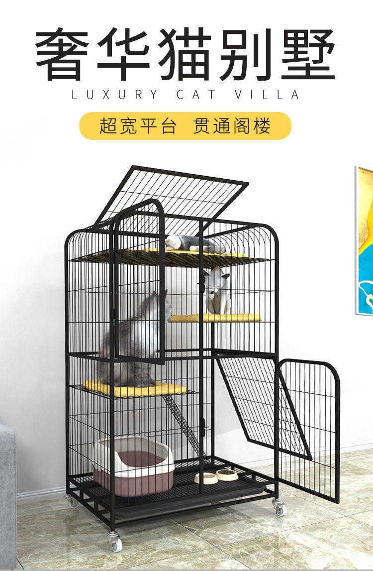 b181d0e6-e269-4a89-b87f-a3cdb6055e2f.jpe