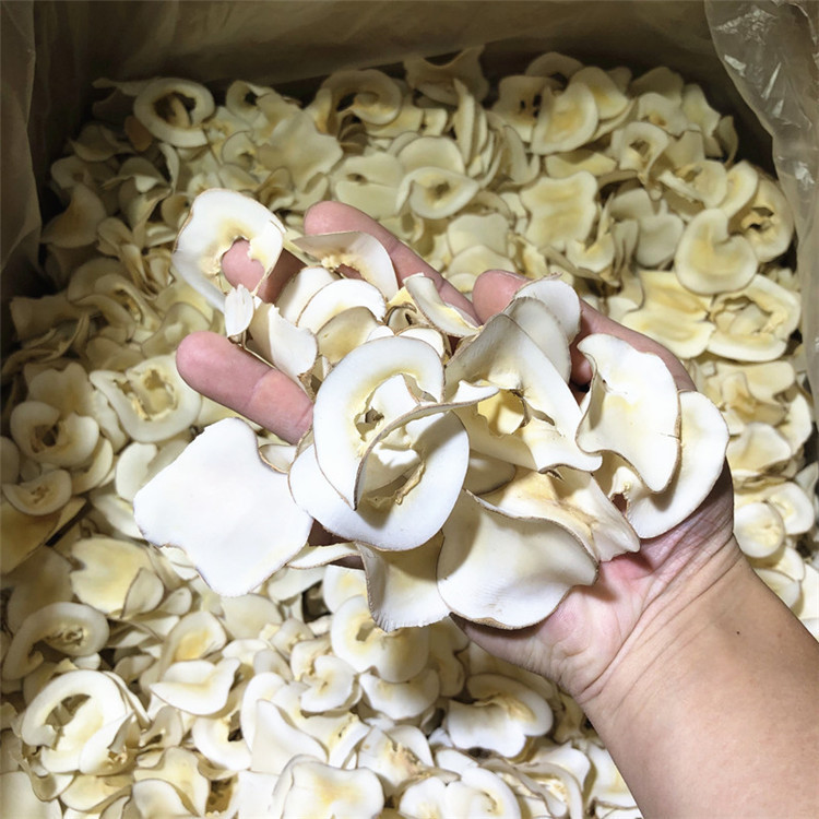 Dried Sea Coconut Slices Hai Di Ye 250g Raw Herbal Slices for Soup and Dessert preparation