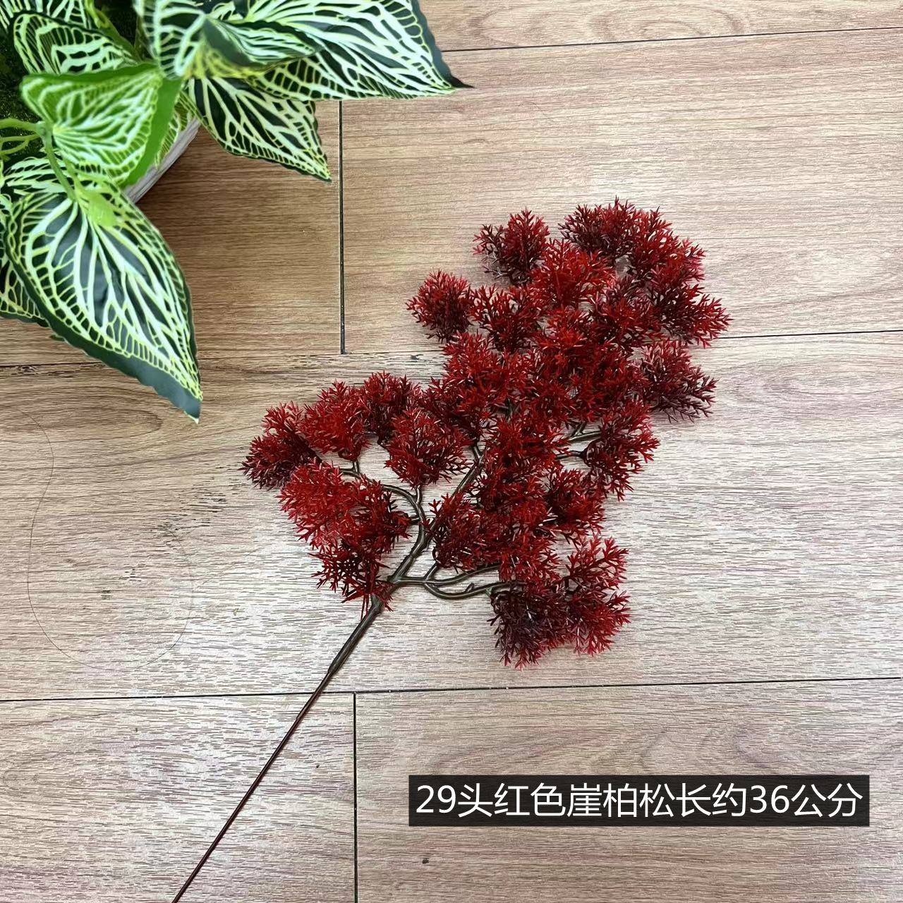 b893c2818bc82f6fdac1a1e82e3656