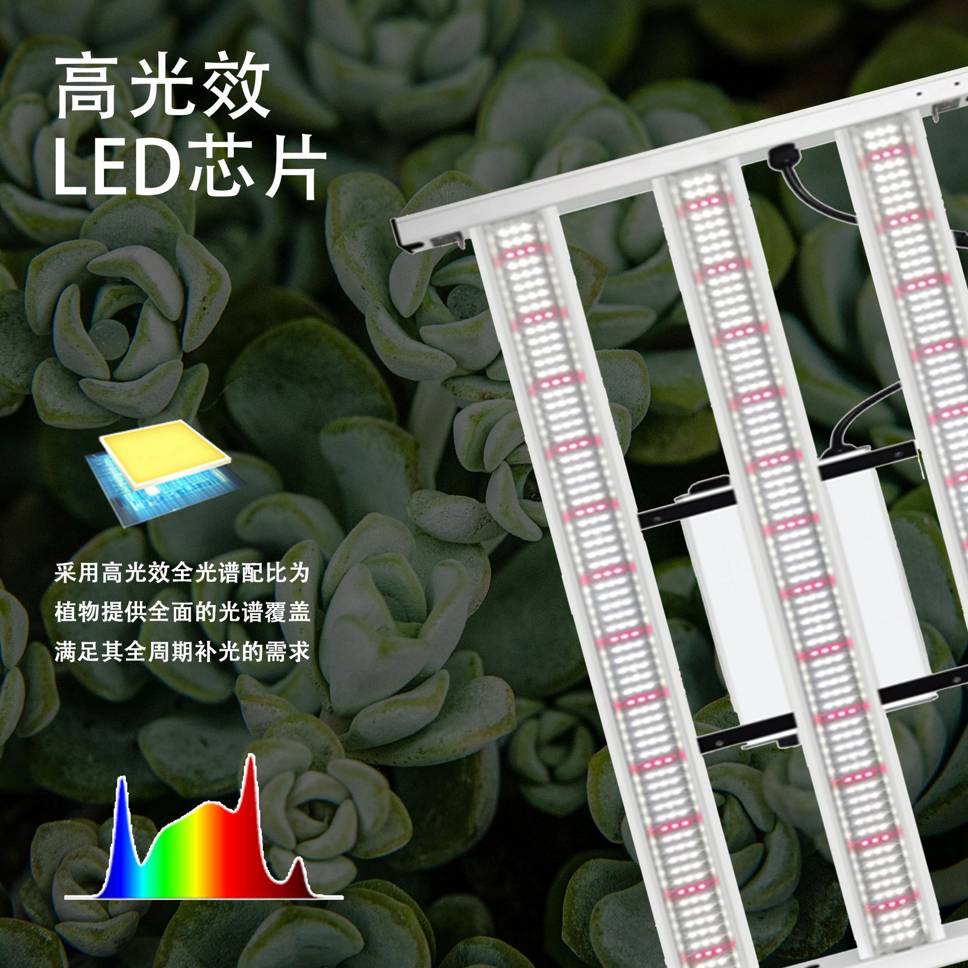 1500W�ɵ���ȫ����ֲ���������������Ի���led��ֲ�������ֲ