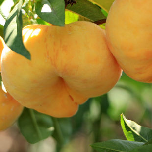 ��S����S��ë��� ���r����ˮ�������S����� ë�� 3/5һ�����l