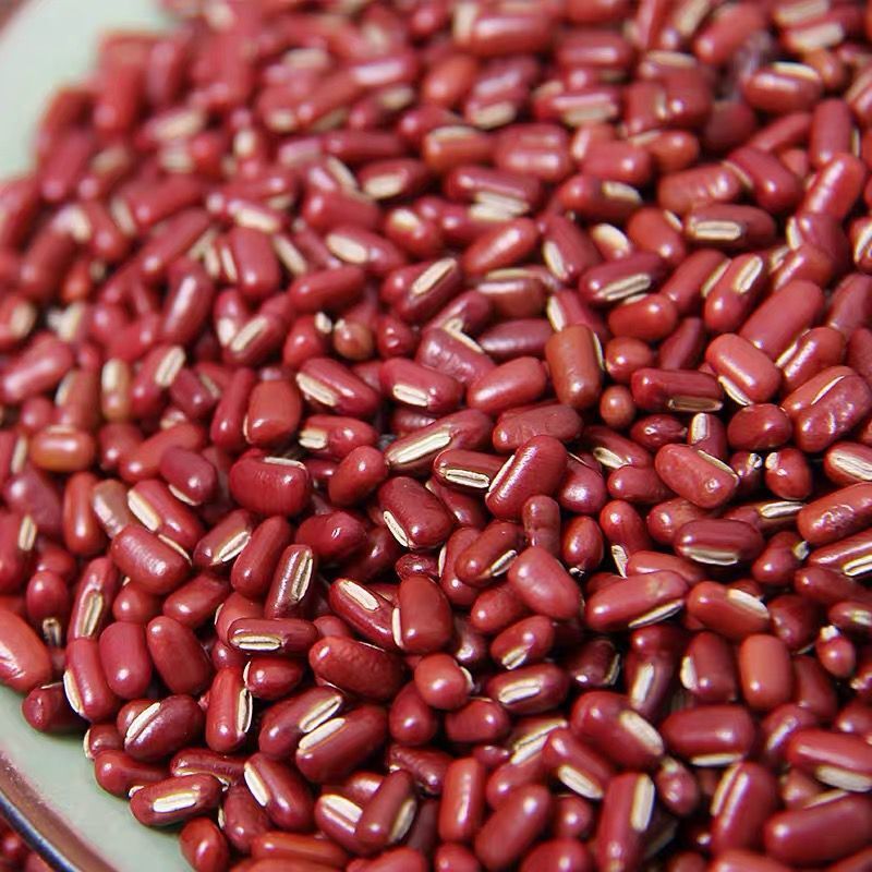 Adzuki Bean Chi Xiao Dou 500g Dried Vigna angularis Seeds for Herbal Tea Soup and Congee preparation