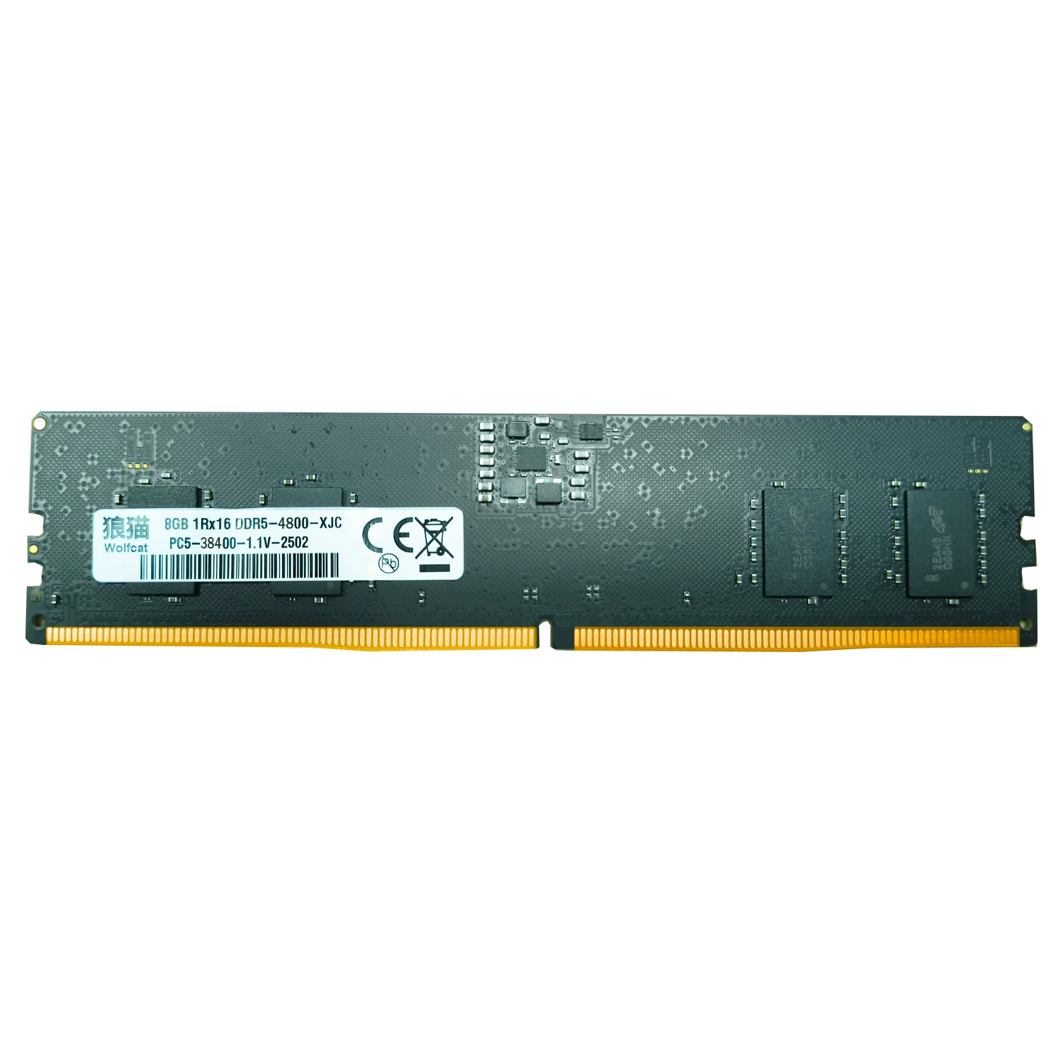 RAM (wolfcat) DDR5 8GB, 4800–5600 MHz, CL40 desktop memory modules