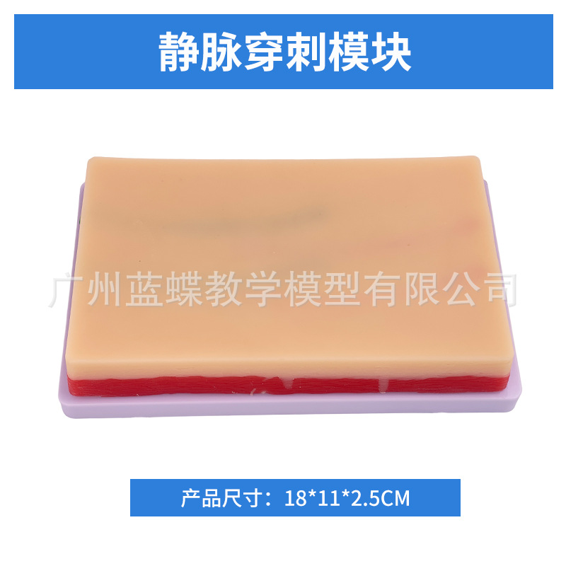 ������������Һ����ע��ѵ���ֱ�ģ�ͻ�ʿ��ϰ����������Ѫģ��