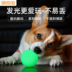 超弾犬夜光球TPR玩具噛み込み解消中小型犬歯ぎしり発光弾力球ペット玩具