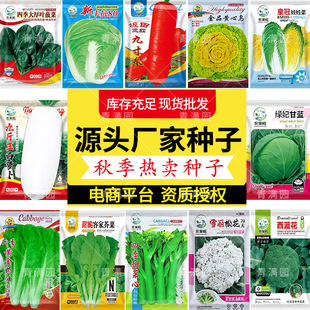 ���x�ﶬ�����N�߲˷N�Ӯ������uƷ�N��˼t�}��������������m��