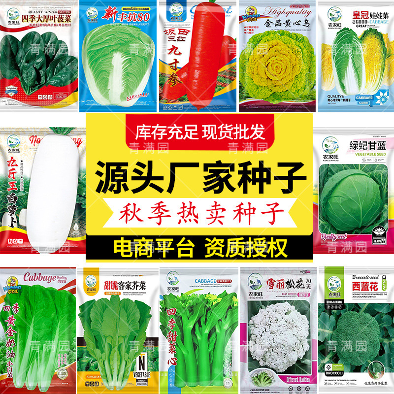 精选秋冬季畅销蔬菜种子当季热卖品种香菜红萝卜包菜甜菜心西兰花