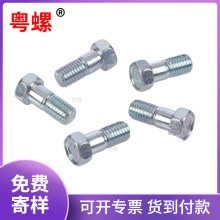 ǈA˾oᔸӲȷɄ F/P䓲|ѨǶλݽz