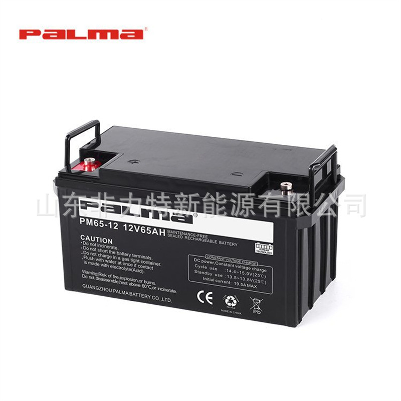 PALMA八马蓄电池PM65-12 12V65AH UPS电源 机房发电储能 电力系统