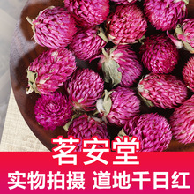 批发花草茶云南千日红 现货农产品花茶花果大货干花千日紫散装
