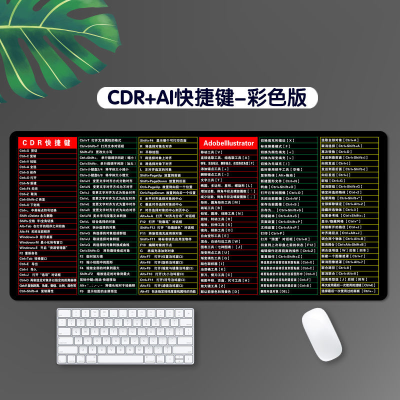 CDR + AI 단축키-색상 버전