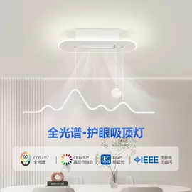 吸顶灯;吊灯;风扇灯