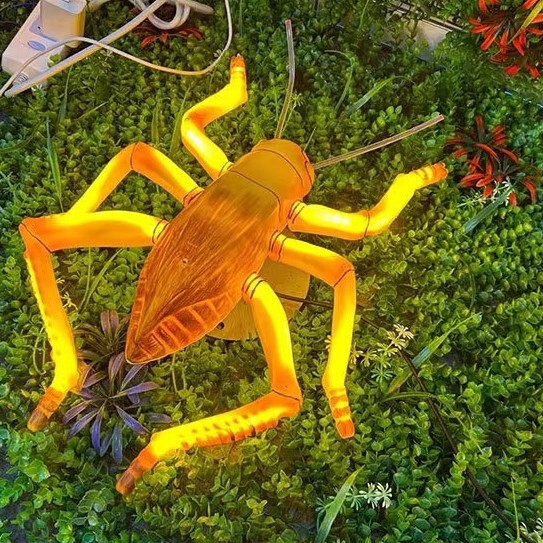 Outdoor Led Dynamic Artificial Butterfly Spider Dragonfly Insect Lawn Landscape Lighting Festival Cultural Tourism Camping Style Decorative Light