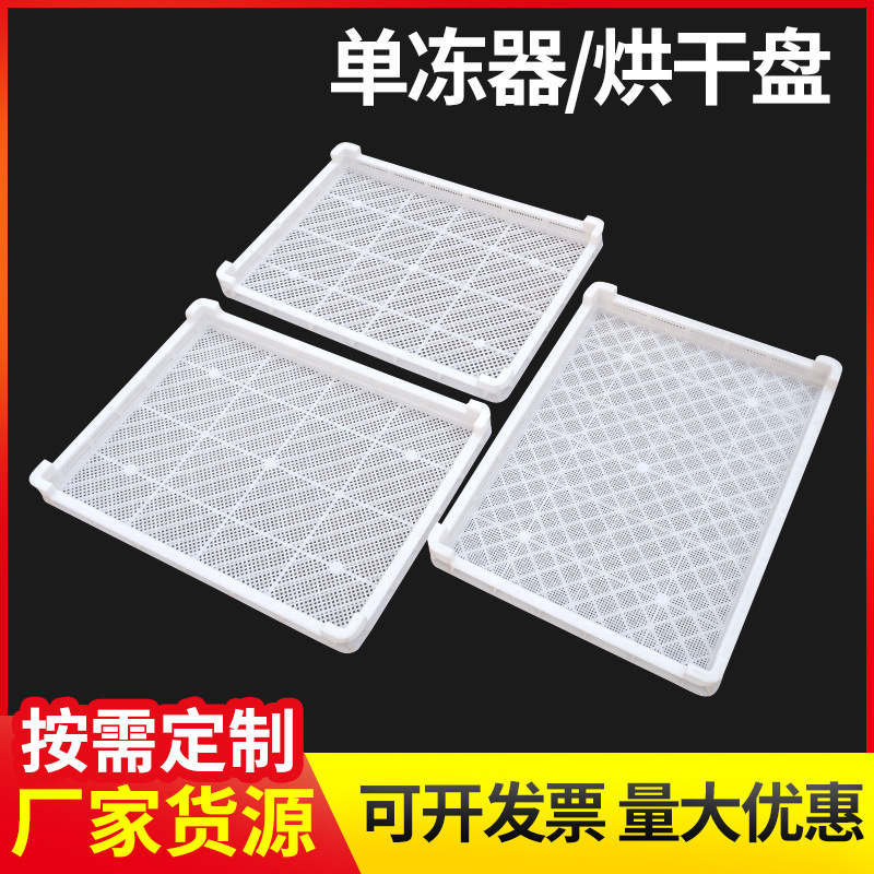 Manufactor customized Mesh Freezing Drying Plastic Dry Drying Frozen tray Plastic Dry