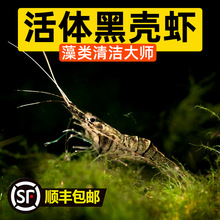 �ښ��r�����坍�����r�״���~�׺���ȥ̦�����r�~���w����^�p�r