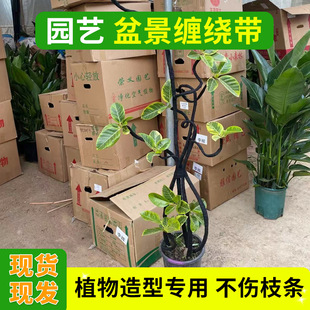 �����l�b���q���z���@ˇֲ���p�@�z���辰�����z��������֦�z��