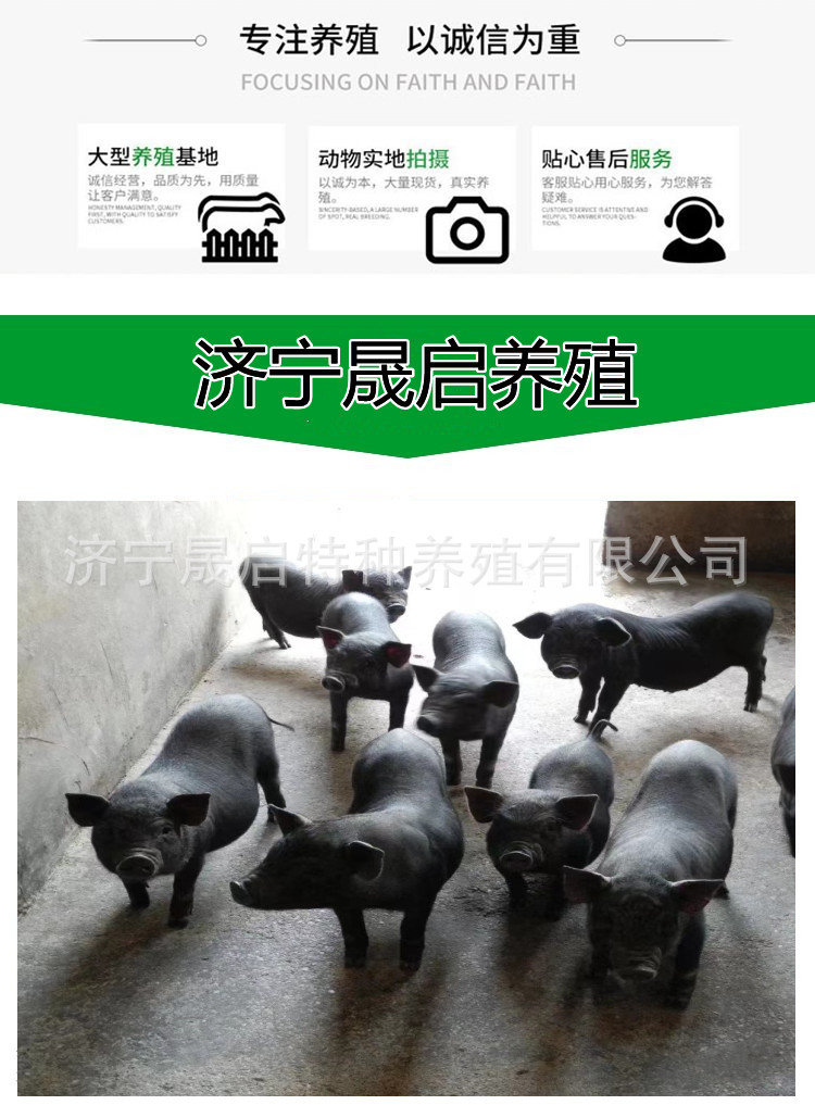 4_副本.jpg