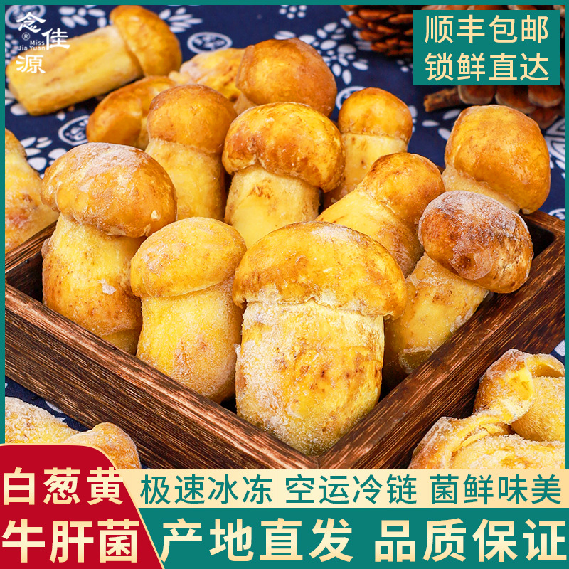 新货云南冰鲜速冻白葱菌冰冻冷冻牛肝菌商用家用1000g不加冰空运