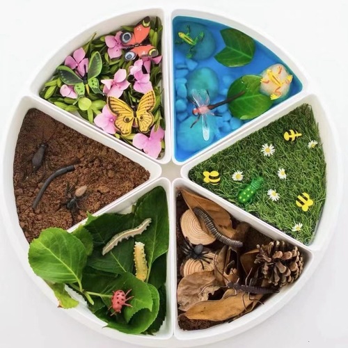 Montessori sensory basin children's sandbox early education game basin small world divided plate kindergarten enlightenment toy teaching aid