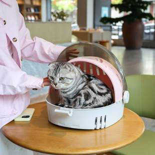 New Space Capsule Cat Nest Comfortable Breathable Portable Cat Bag for Pets Going Out