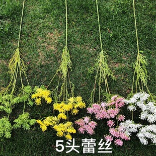 5�^�ٽz����ɫ�ٽz���S��  �Gɫ������·����Y�����bٻ����l