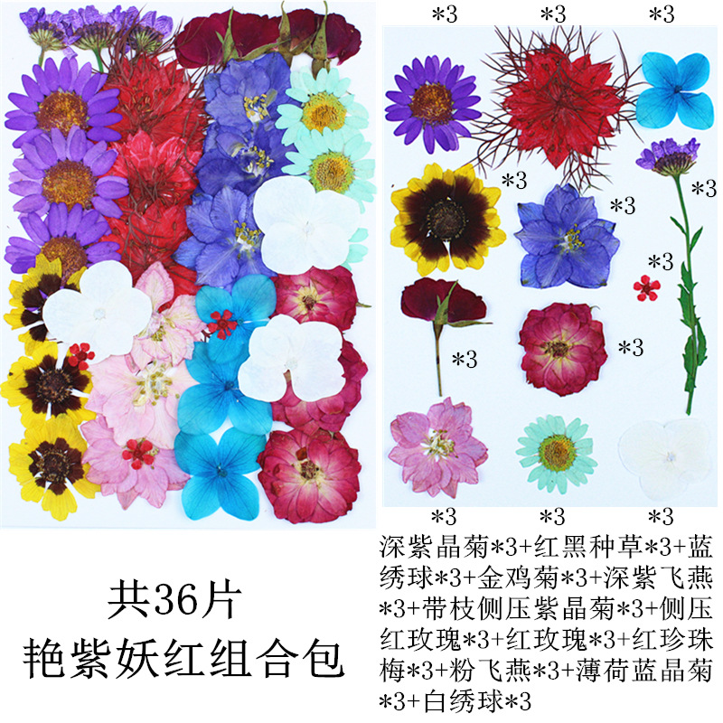 Paquete de material de estampado de flores secas Paquete de combinación de flores presionadas Flor real Hoja de espécimen pegatinas