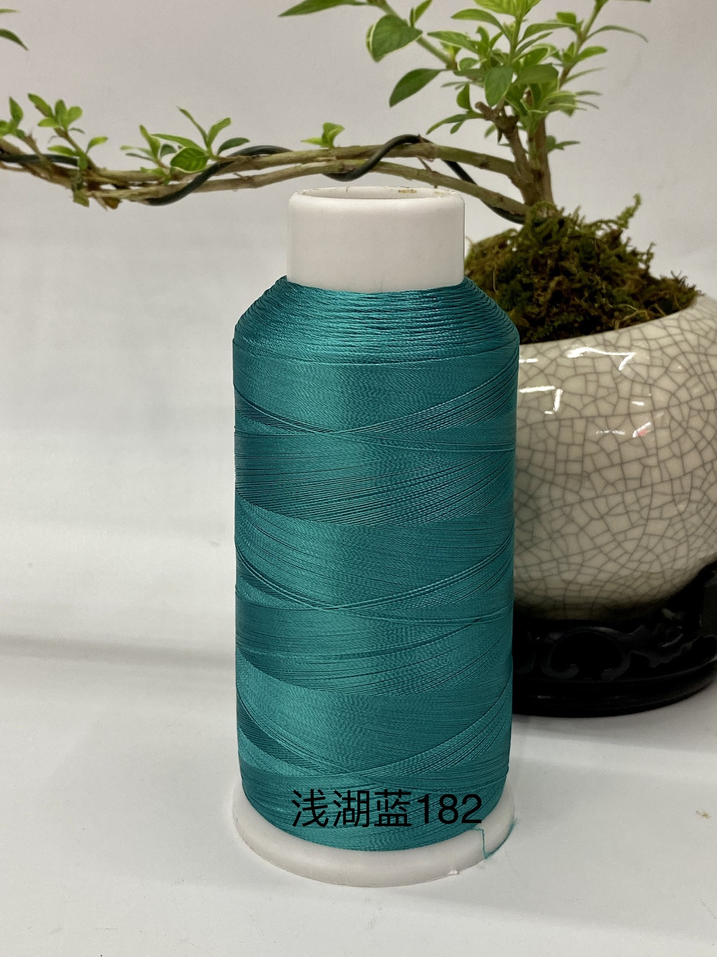 얕은 호수 블루 182