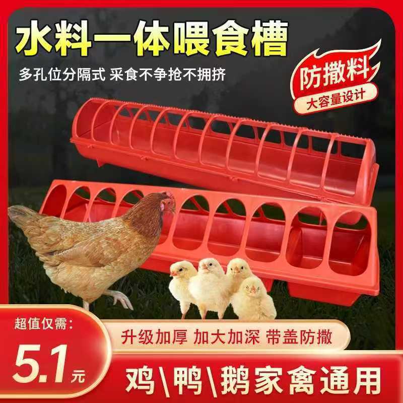 育雏长料槽家禽喂食喂料喂水食槽鸡鸭鹅鹌鹑多孔补料槽长条放撒盒|undefined