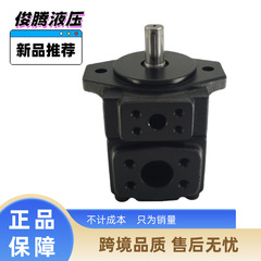 性价比高定量叶片泵液压油泵pv2r1超静音增压注塑机液压机叶片泵
