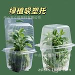 花卉绿植吸塑内托塑料盒 快递运输植物吸塑托盘 吸塑包装盒子批发