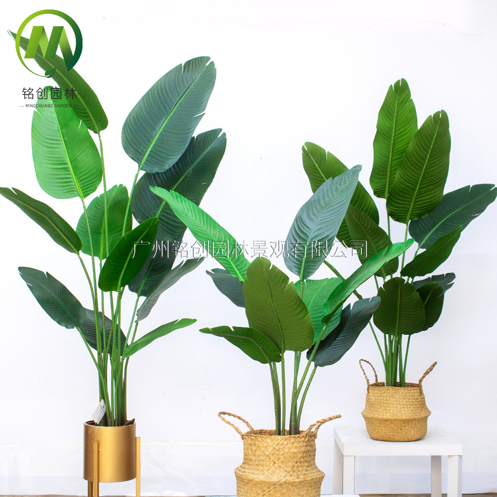 Árbol de simulación transfronterizo, plátano viajero, planta en maceta, nueva planta de simulación, pájaro del paraíso, planta verde de simulación de hoja grande, plátano viajero