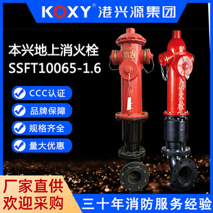 ���d�����a�^������������˨SSFT10065-1.6 �҃��������˨�F؛