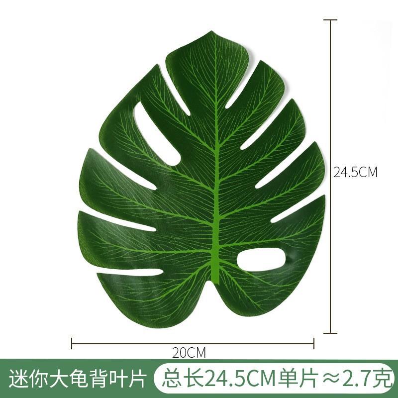 迷你中龟背叶 (3)
